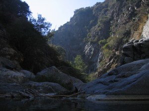 243495977_104_original