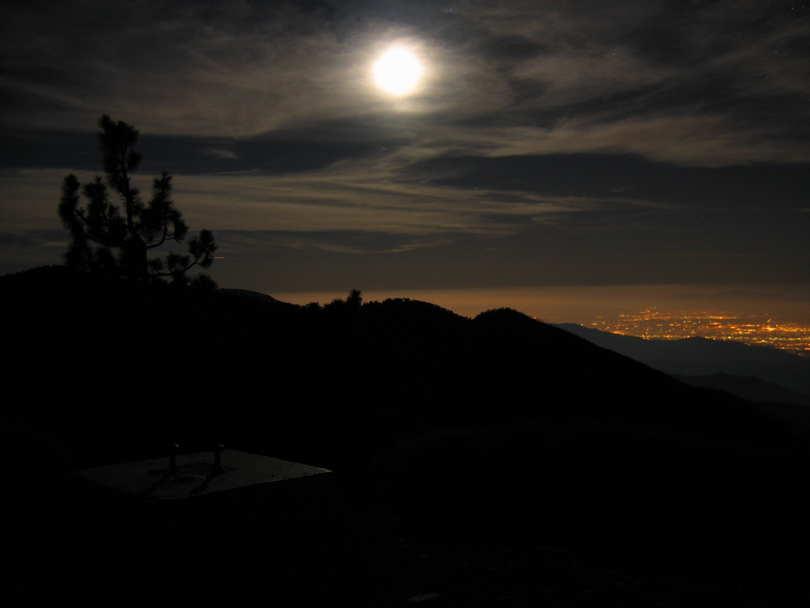 243495977_58_original1