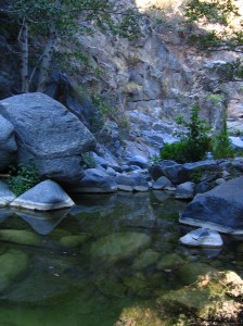 243495977_84_original