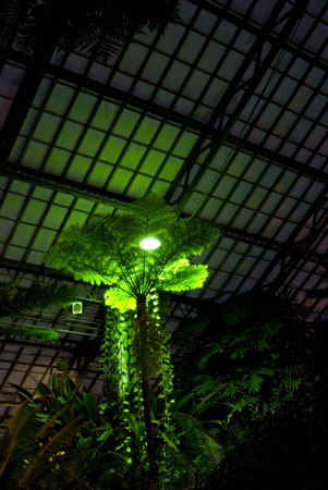 garfieldconservatory2b3115