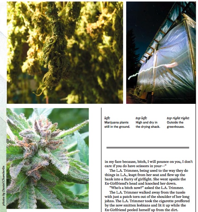 The Goose Creek Road Farm