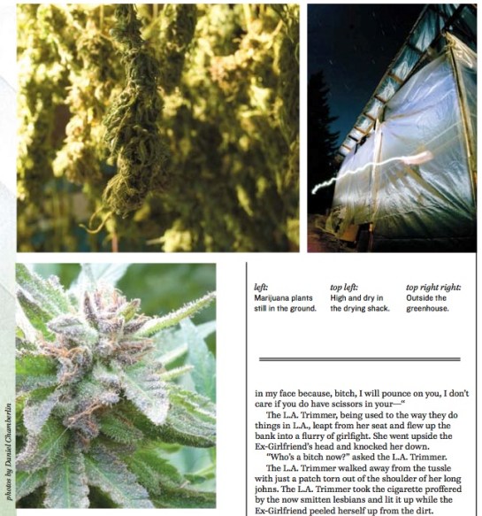 The Goose Creek Road Farm