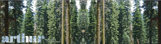 Arthur - Desolation Wilderness