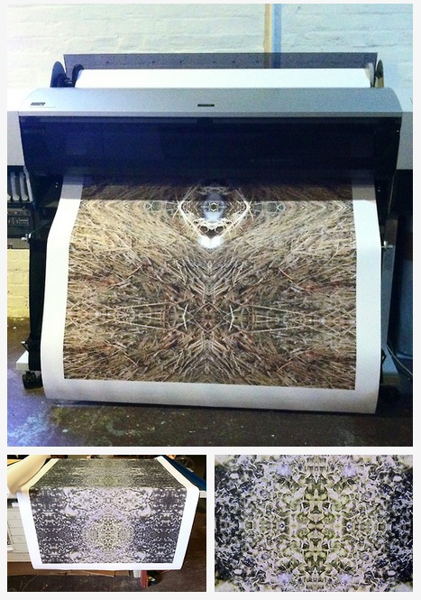 Color Wheel Print Images