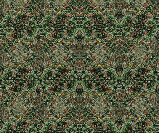 Screen Shot 2014-10-04 at 4.45.20 PM