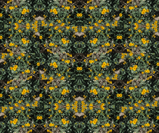 Screen Shot 2014-10-04 at 4.45.42 PM