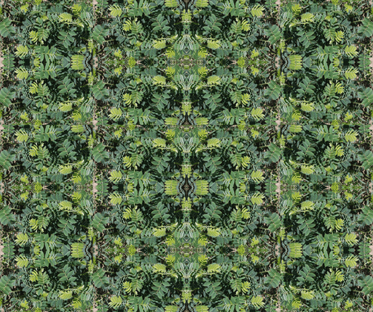 Screen Shot 2014-10-04 at 4.45.54 PM