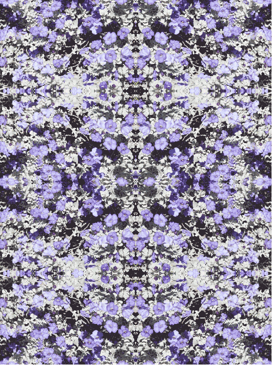 Purple-Flower-53-54