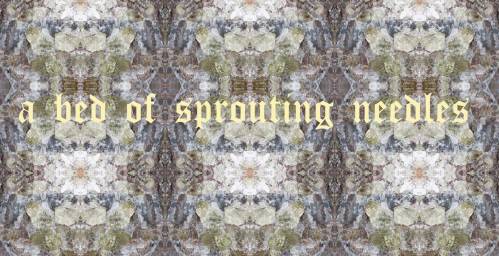 8-Sprouting-Needles