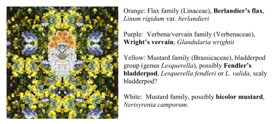 Screen Shot 2015-10-25 at 10.15.54 AM