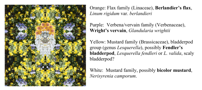 Screen Shot 2015-10-25 at 10.15.54 AM