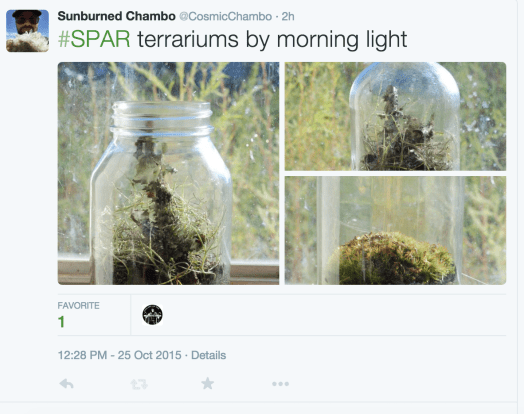 Screen Shot 2015-10-25 at 2.00.04 PM